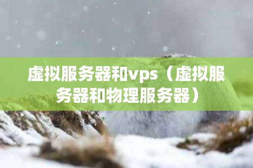 虚拟服务器和vps（虚拟服务器和物理服务器）
