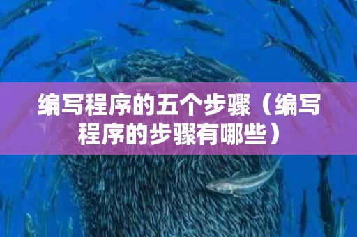 编写程序的五个步骤（编写程序的步骤有哪些）