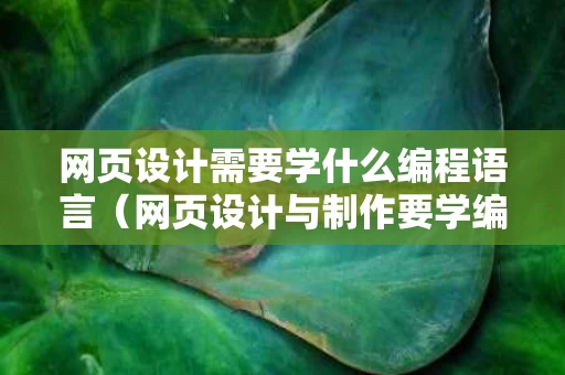 网页设计需要学什么编程语言（网页设计与制作要学编程吗）