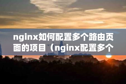 nginx如何配置多个路由页面的项目（nginx配置多个网站）