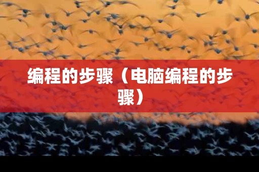 编程的步骤（电脑编程的步骤）