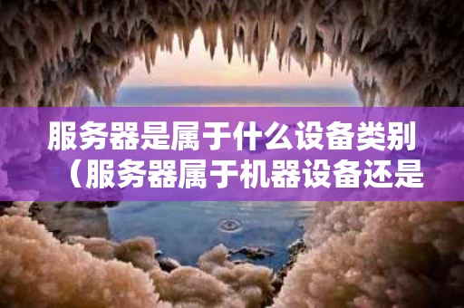服务器是属于什么设备类别（服务器属于机器设备还是电子设备）