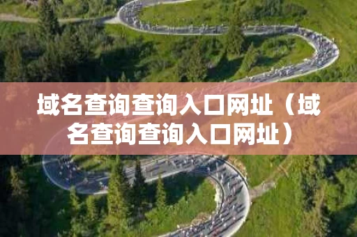 域名查询查询入口网址（域名查询查询入口网址）
