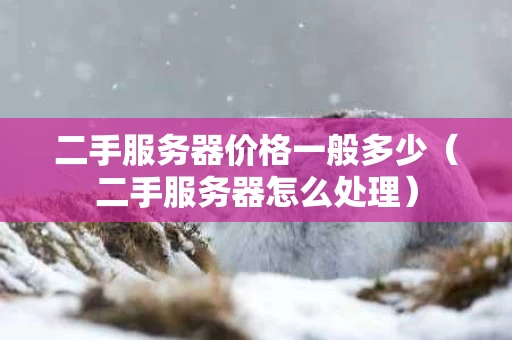 二手服务器价格一般多少（二手服务器怎么处理）