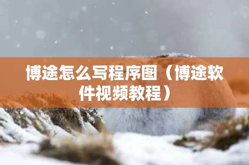 博途怎么写程序图（博途软件视频教程）