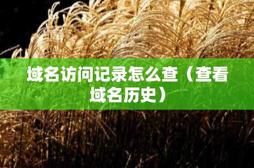 域名访问记录怎么查（查看域名历史）