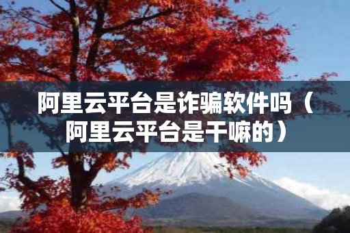 阿里云平台是诈骗软件吗（阿里云平台是干嘛的）