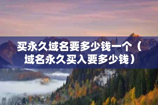 买永久域名要多少钱一个（域名永久买入要多少钱）