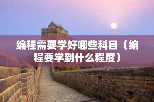 编程需要学好哪些科目（编程要学到什么程度）