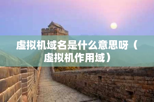 虚拟机域名是什么意思呀（虚拟机作用域）