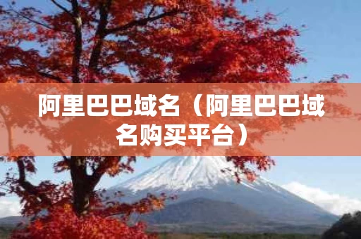 阿里巴巴域名（阿里巴巴域名购买平台）