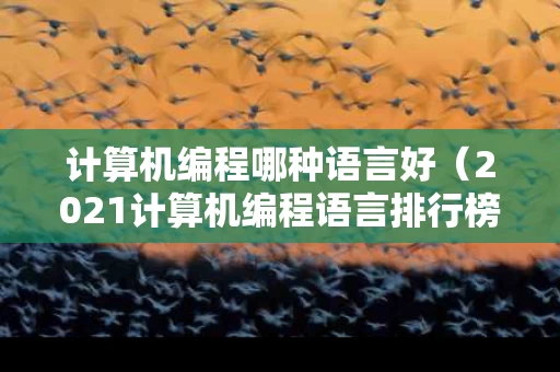 计算机编程哪种语言好（2021计算机编程语言排行榜）