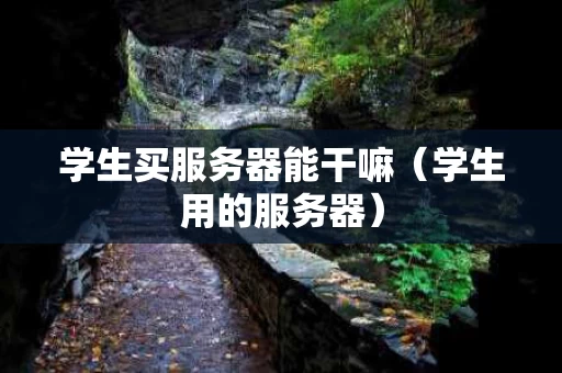 学生买服务器能干嘛（学生用的服务器）