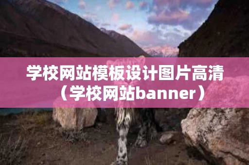 学校网站模板设计图片高清（学校网站banner）