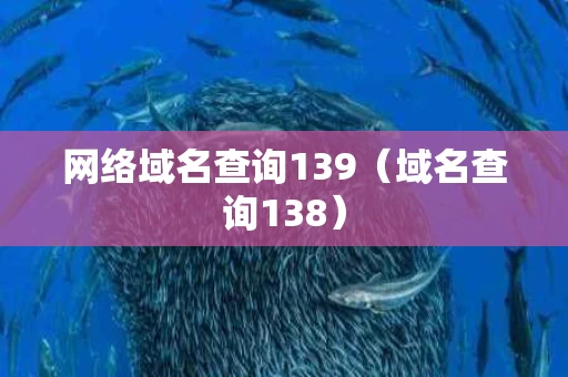 网络域名查询139（域名查询138）