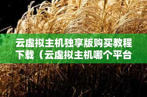云虚拟主机独享版购买教程下载（云虚拟主机哪个平台好）