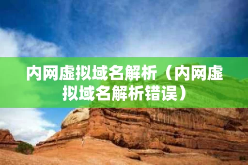内网虚拟域名解析（内网虚拟域名解析错误）