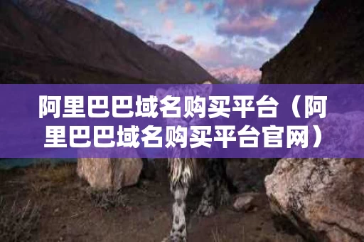 阿里巴巴域名购买平台（阿里巴巴域名购买平台官网）
