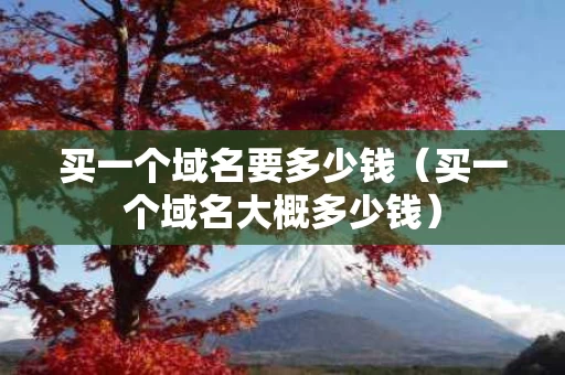 买一个域名要多少钱（买一个域名大概多少钱）