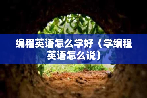编程英语怎么学好（学编程英语怎么说）