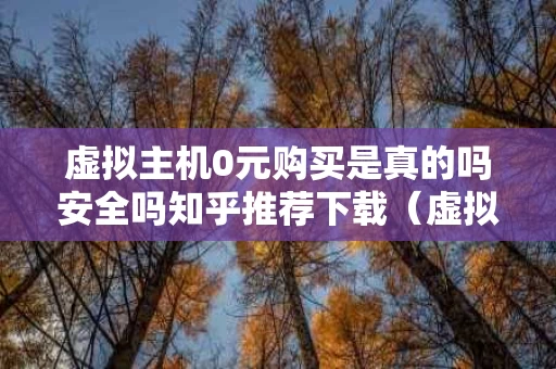 虚拟主机0元购买是真的吗安全吗知乎推荐下载（虚拟主机0元购买是真的吗安全吗知乎推荐下载）