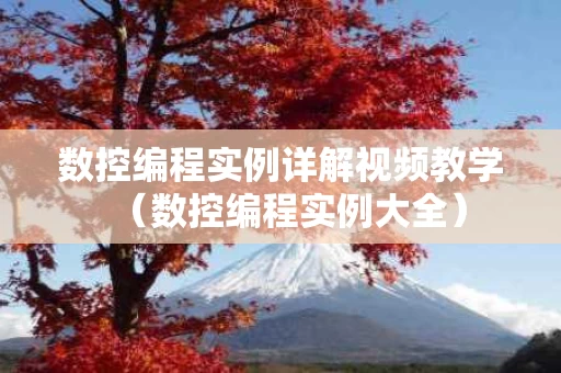 数控编程实例详解视频教学（数控编程实例大全）