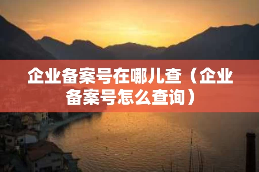 企业备案号在哪儿查（企业备案号怎么查询）