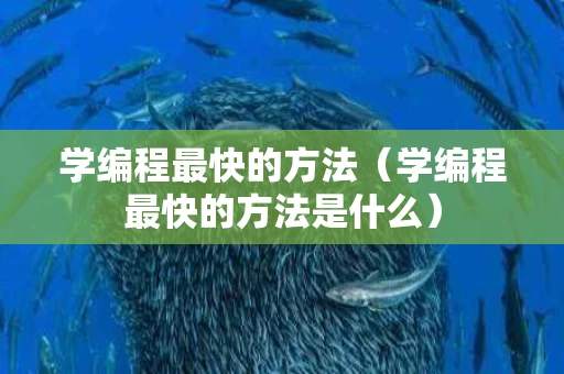 学编程最快的方法（学编程最快的方法是什么）