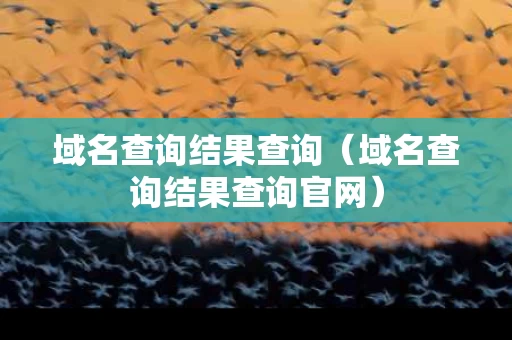 域名查询结果查询（域名查询结果查询官网）
