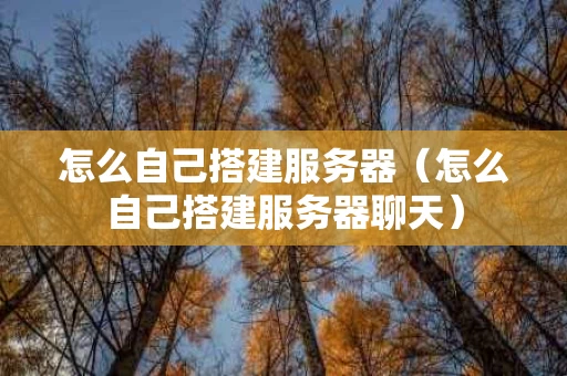 怎么自己搭建服务器（怎么自己搭建服务器聊天）