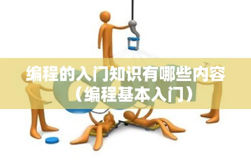 编程的入门知识有哪些内容（编程基本入门）