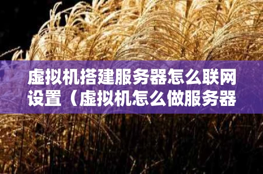 虚拟机搭建服务器怎么联网设置（虚拟机怎么做服务器）