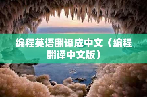 编程英语翻译成中文（编程翻译中文版）
