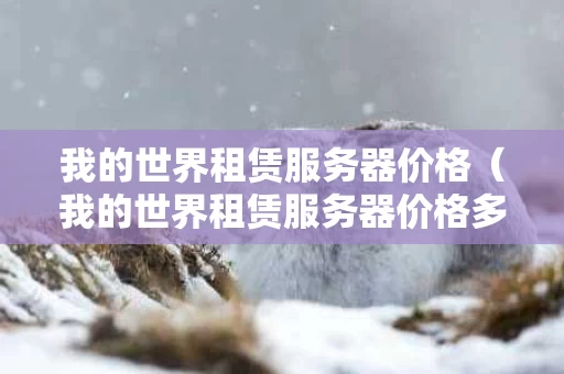 我的世界租赁服务器价格（我的世界租赁服务器价格多少）