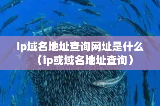 ip域名地址查询网址是什么（ip或域名地址查询）