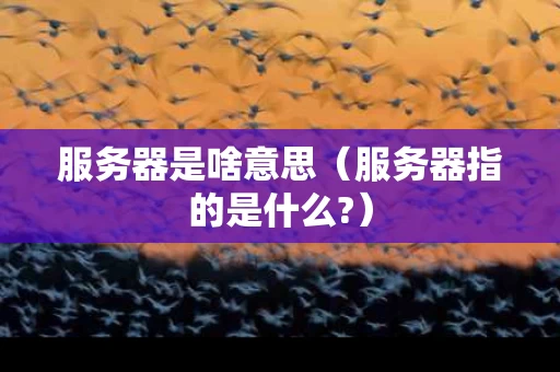 服务器是啥意思（服务器指的是什么?）