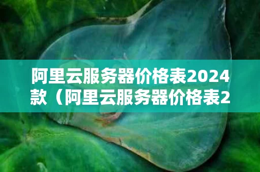 阿里云服务器价格表2024款（阿里云服务器价格表2024款）