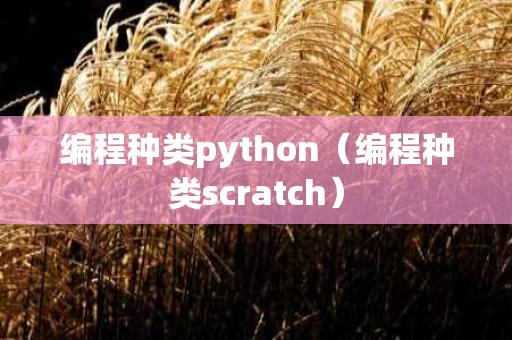 编程种类python（编程种类scratch）