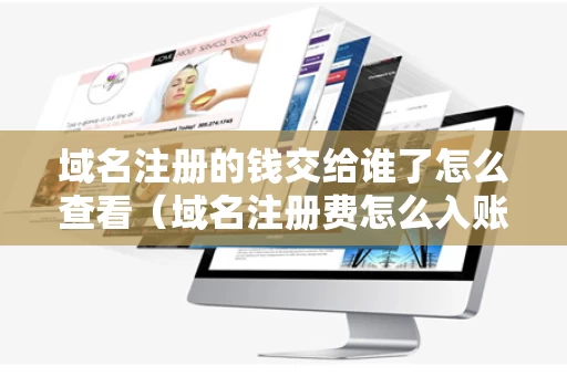 域名注册的钱交给谁了怎么查看（域名注册费怎么入账）
