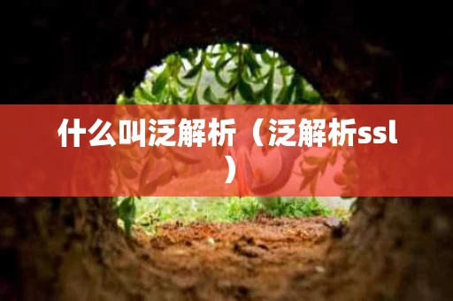 什么叫泛解析（泛解析ssl）