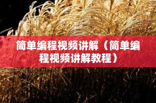 简单编程视频讲解（简单编程视频讲解教程）