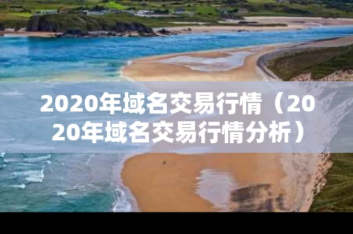 2020年域名交易行情（2020年域名交易行情分析）