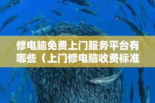 修电脑免费上门服务平台有哪些（上门修电脑收费标准）
