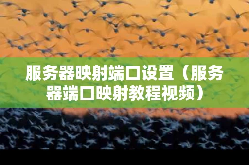 服务器映射端口设置（服务器端口映射教程视频）