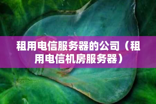 租用电信服务器的公司（租用电信机房服务器）