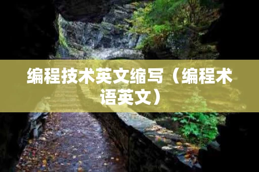 编程技术英文缩写（编程术语英文）