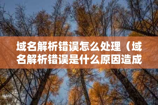域名解析错误怎么处理（域名解析错误是什么原因造成的）