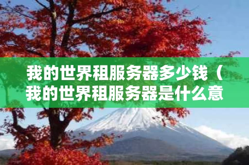 我的世界租服务器多少钱（我的世界租服务器是什么意思）