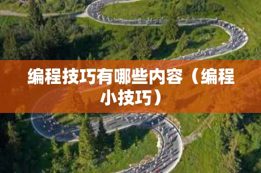 编程技巧有哪些内容（编程小技巧）