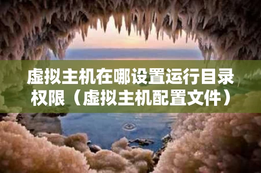 虚拟主机在哪设置运行目录权限（虚拟主机配置文件）